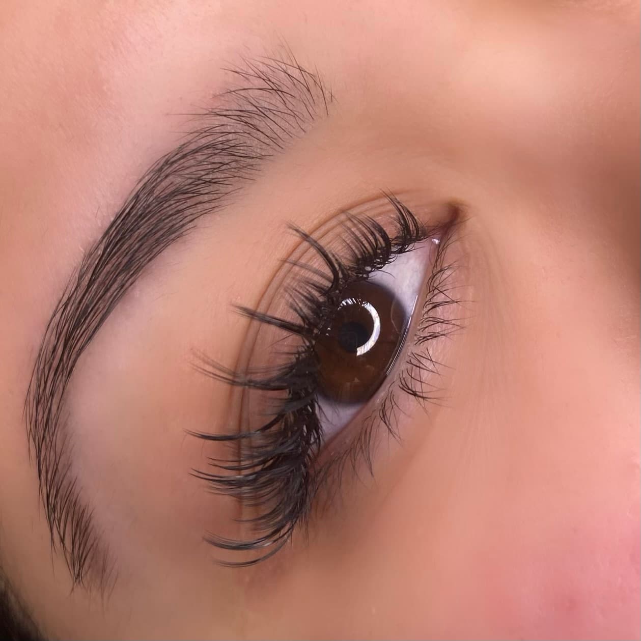 Lash close-up 1