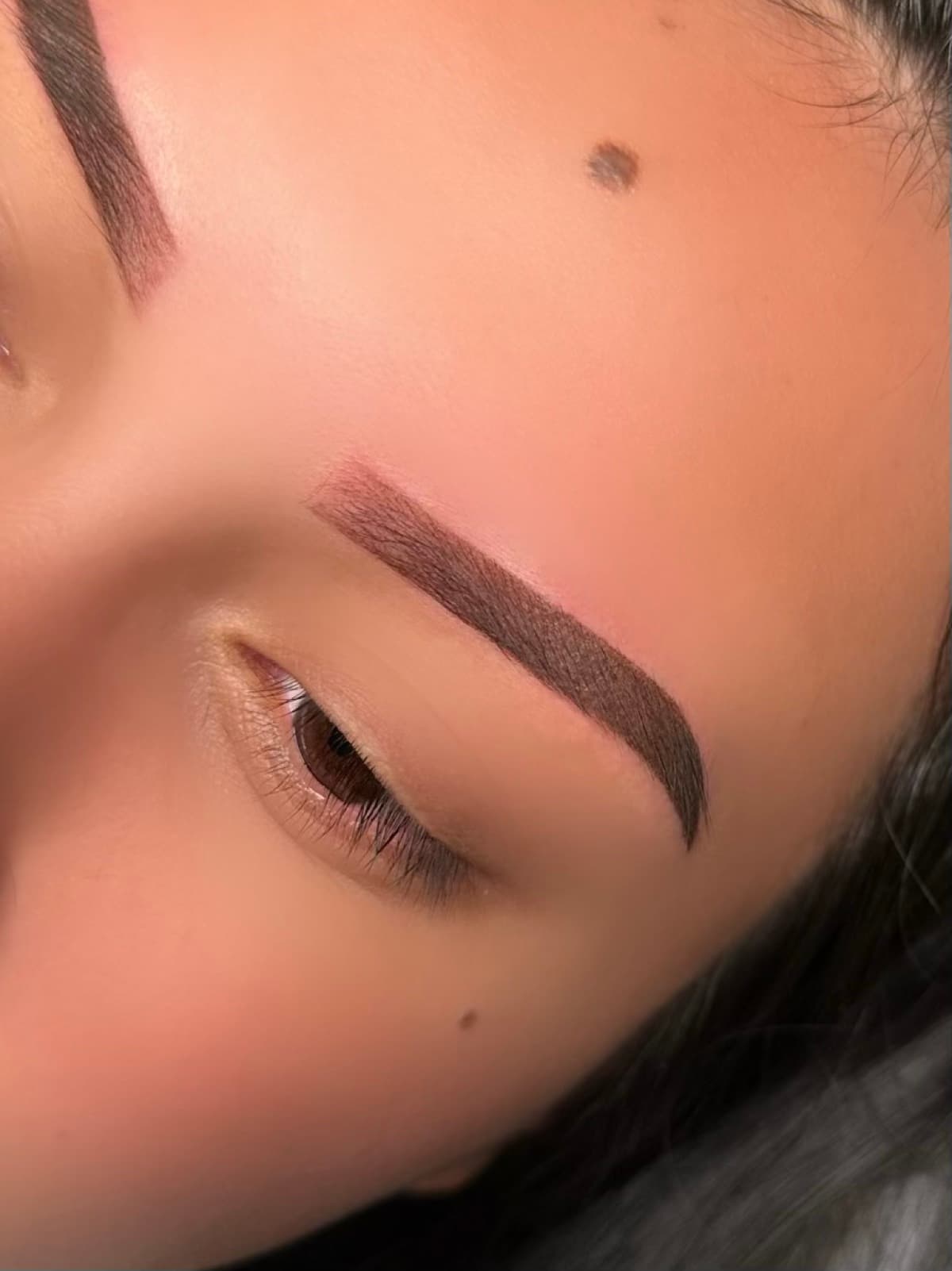 Ombre Brows 1